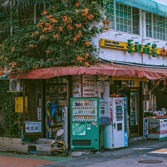 大半个橙子采集到CG原画场景