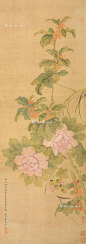 恽寿平——【宋人粉本画法】花卉立轴欣赏 | 
清|恽寿平(1633-1690)字寿平、正叔，号南田、云溪外史、东园草衣、白云外史。与“四王”、吴历并称“清初六大家”又称“四王吴恽”。善山水花鸟诗书，书学褚遂良，被称“恽体”。后以花鸟为主，开创没骨花卉独特画风，常州画派开山祖师。