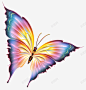 插画彩色蝴蝶卡通梦幻蝴蝶 免抠png 设计图片 免费下载 页面网页 平面电商 创意素材