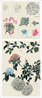 【  水墨花卉 · 步骤教程 …  】 ​（转）