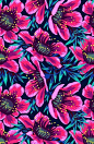 Rosa Mexicano