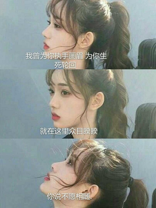 伤感语录/搞怪语录/古风语录/QQ语录/...