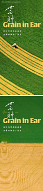 编号：56910023930109281【享设计】源文件下载-芒种节气海报