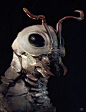 Alien Ant, Joshua Kubit : Alien Ant by Joshua Kubit on ArtStation.