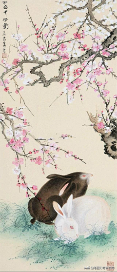 JhonSionW采集到工笔动物