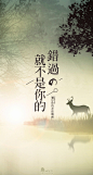 忧悒清远的气韵，是遥远的不可触及的忧伤，如微云孤月，只能遥望那天涯的距离。