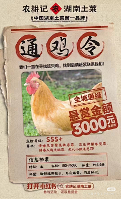 小呀小小石头采集到食品-立地海报