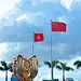 7️⃣1️⃣风雨无阻，紫荆花开_1_Alice_来自小红书网页版