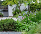 The majestic existing acer in the background creates a wonderful parasol over the patio, with the foreground planting providing textural, seasonal interest.