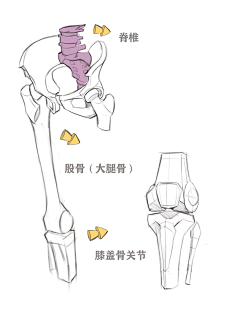 涡来守狐采集到光影调子