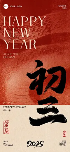 春节蛇年纹理祝福年俗套系海报