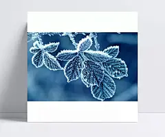 冬天美丽自然风景|雪景,北国风光,冬天雪景,雪乡,冬天,白雪,冰雪,冬季,风景,东北风光,中国雪乡,雪,冬日壁纸,自然 / 风光,高清背景
