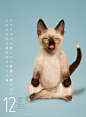 Amazon.co.jp: Yoga Cats 2014 : 文房具・オフィス用品