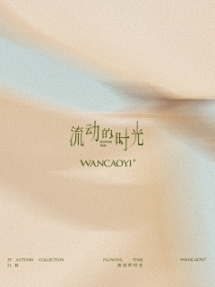 不二个我采集到字体设计