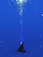 克莱因蓝|孤独×海底 - 小红书