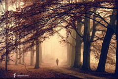samchao采集到Lars Van De Goor