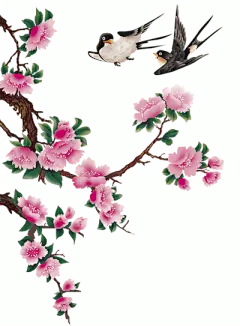 青梅插画_360图片
