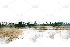 彩树和山水树以水彩画为背景。