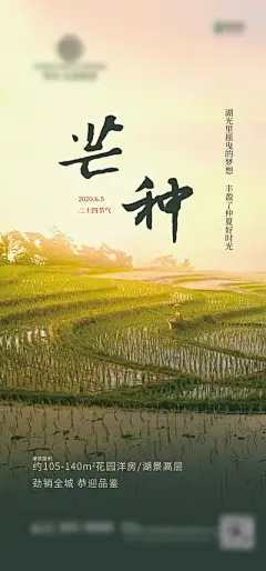 【南门网】海报 房地产 二十四节气 芒种 简约 稻田 插秧