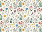 botanical-dribbble-light_4x.jpg (1600×1200)