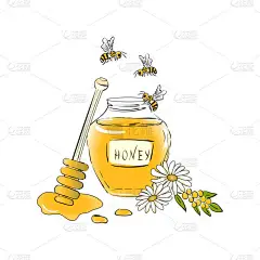 蜜蜂昆虫，蜂蜜罐，蜂蜜滴，北斗七星，花的概念。在白色背景上孤立的彩色矢量图形。有机食品设计概念