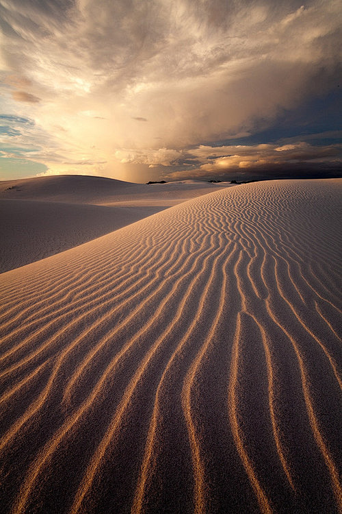  Desert Storm by Hou...