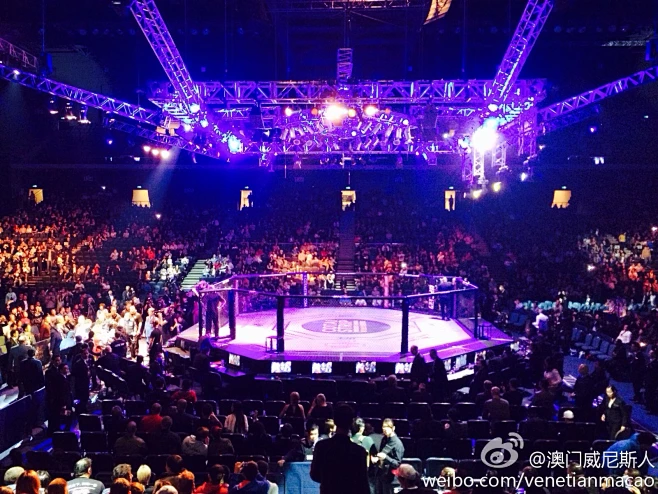 ufc八角笼背景图的 搜索结果_360图片-花瓣网