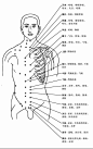 胸部穴位和穴位功能主治说明