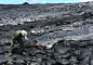 Lava Flows From Hawaii's Kilauea Volcano : The current active lava flow (named “61g”) from Hawaii's Kīlauea Volcano began as an eruption in May, and has spent months making its way to the shoreline. 