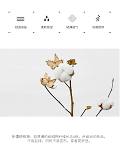 你是关键゜采集到童装详情
