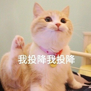 我投降 我投降
