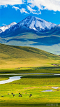 背靠天山山脉与阿尔泰山脉的伊犁，草原壮丽而又广阔，伊犁河流如丝带般蜿蜒于绿色草原上，风光旖旎。——伊犁#新疆