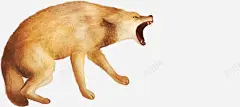 手绘黄色动物狼群高清素材 动物 狼群 黄色 免抠png 设计图片 免费下载