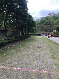 心有艳阳采集到景观专项--停车场