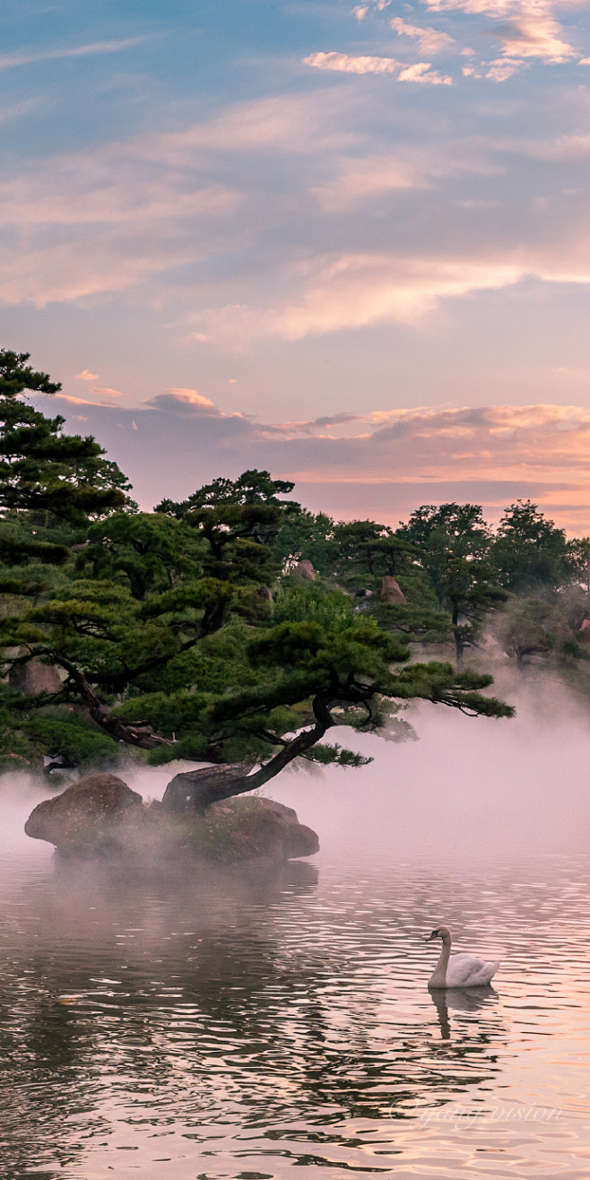 【傍晚的天鹅湖】#粉色天空#  北京，夏...