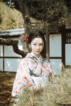 大头今天画画了吗采集到所谓伊人（亚洲）