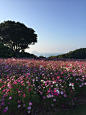 场景素材 天地水 