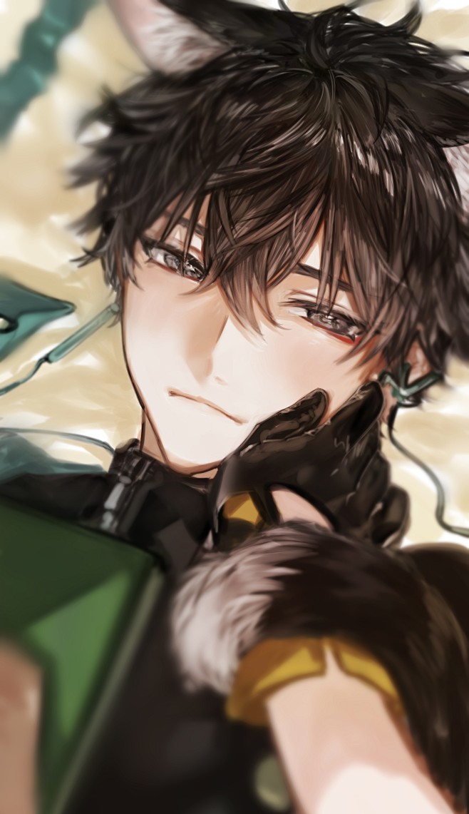 崩坏:星穹铁道#丹恒#兽耳
画师：ひとひ...