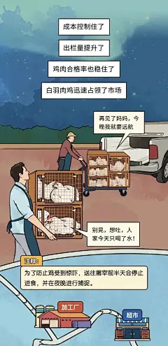 超市熟食区里18.9元一整只的烤鸡，真的能吃吗？漫画揭秘真相