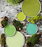 Greens found in forests, orchards, and terrariums play well together in designs ranging from contemporary to cottage. This palette, which includes olive, turquoise, aloe, clover, and citron, combines warm yellowish greens with cooler greens sporting blue 