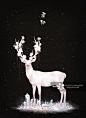 鹿,节气,霜降,仙女,插画正版图片素材