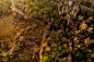 General 5144x3427 nature trees aerial view river forest HDR