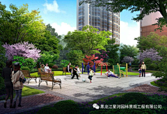 小严123采集到龙文