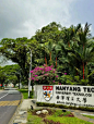 新加坡南洋理工大学 - 小红书