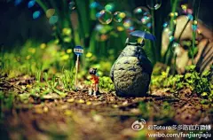 Totoro多多洛官方微博的微博