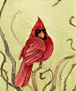 [【Tracy Lizotte】水彩鸟插画4] 清新柔和的色调，细致的笔触，总觉得这些鸟事微笑着的。也许这是作者的心境吧。水彩鸟最后一期，以后发布该作者其他插画，欢迎继续关注。谢谢观赏