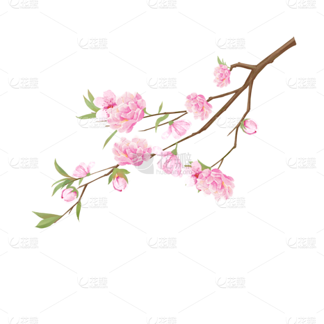 手绘花枝树枝花朵元素