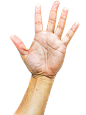 各种手势 超高清PNG 免扣素材 手持 透明手
