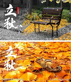 立秋银树叶海报_源文件下载_PSD格式_1920X2202像素-银杏叶,插画,秋分,二十四节气,地产,海报,落叶,实景,松鼠,立秋-作品编号:2023080822499854-志设-zs9.com