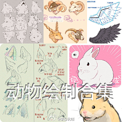 gvdjdidjj采集到动物画法教程